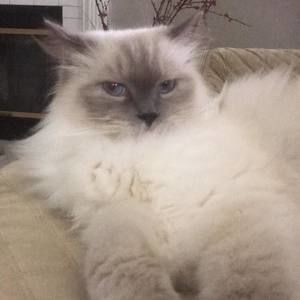 Meet your Posher, Sara